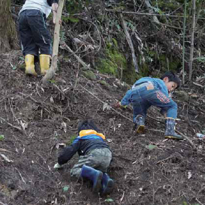 野遊び体験